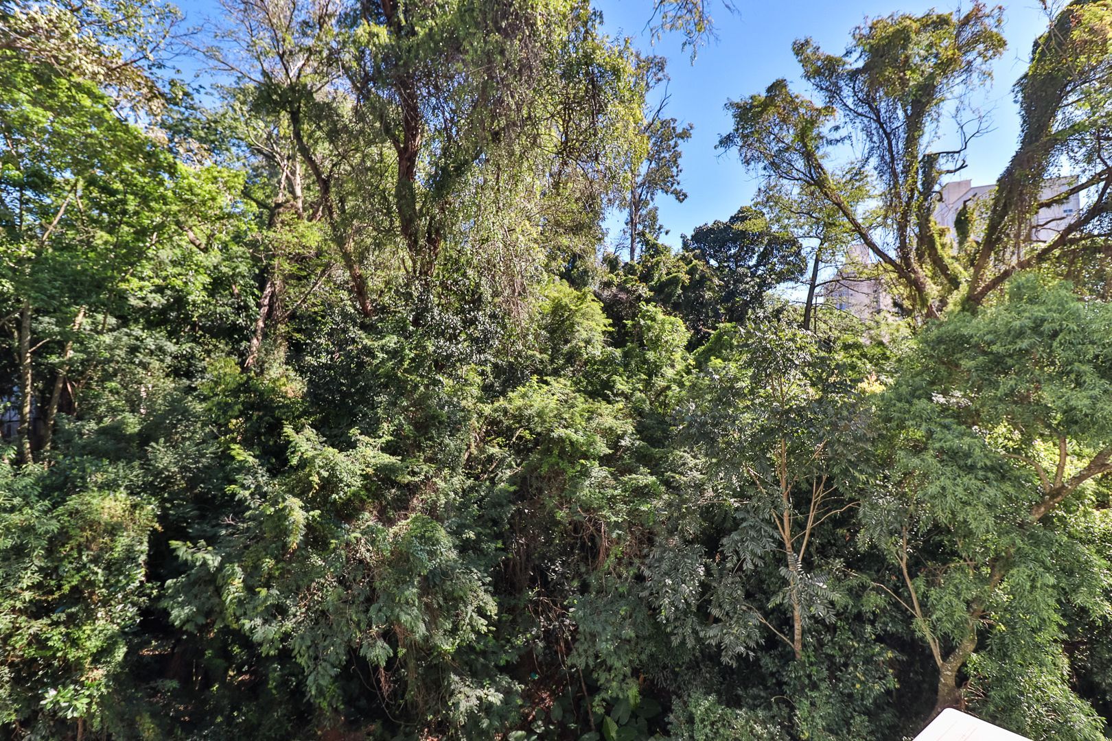 Apartamento para venda de 3 dormitórios, no bairro Teresópolis em Porto Alegre/RS. — foto 35