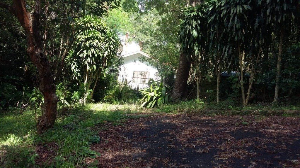Area para Venda - 0m², 0 dormitórios, Ponta Grossa — foto 11