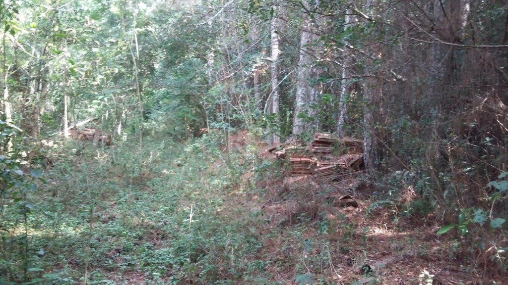 Area para Venda - 0m², 0 dormitórios, Ponta Grossa — foto 6