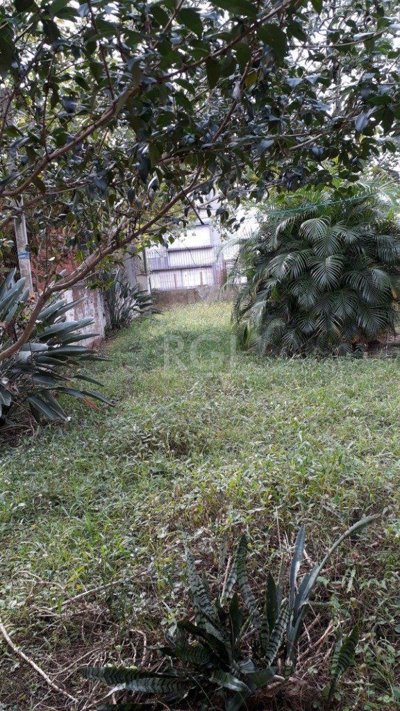 Terreno para Venda - 1345m², 0 dormitórios, Partenon — foto 4