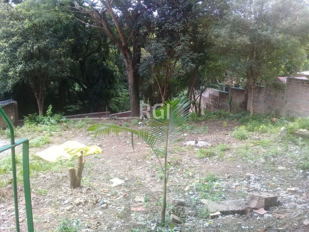 Terreno para Venda - 873m², 0 dormitórios, Teresópolis — foto 4