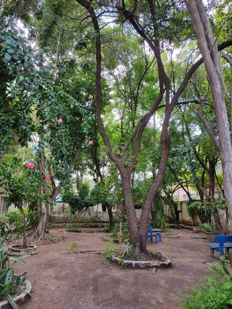 Apartamento para Venda - 79m², 3 dormitórios, São João — foto 20