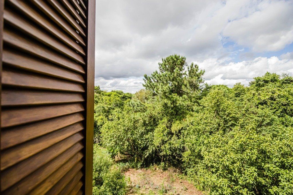 Sítio para Venda - 25000m², 0 dormitórios, Lomba do Pinheiro — foto 76