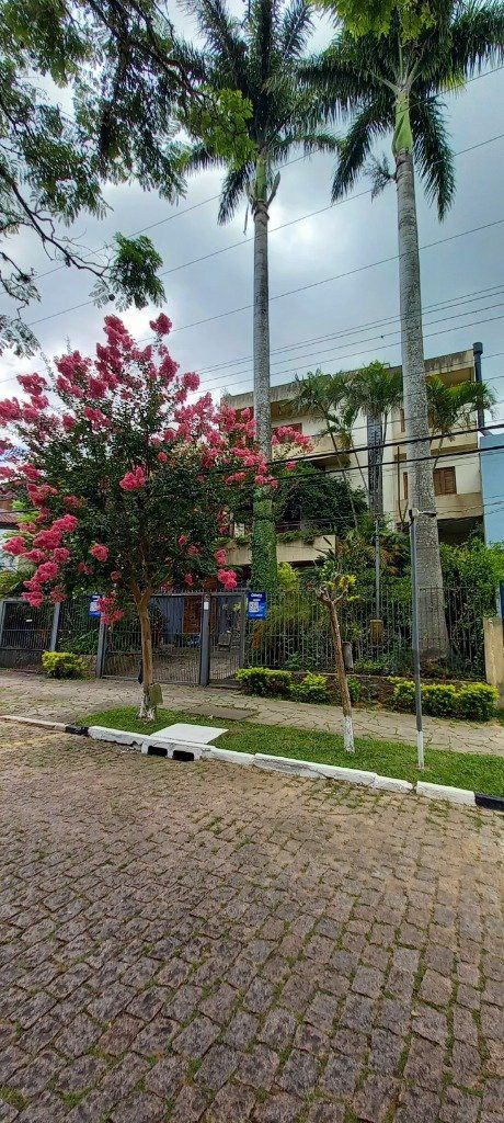 — foto 21