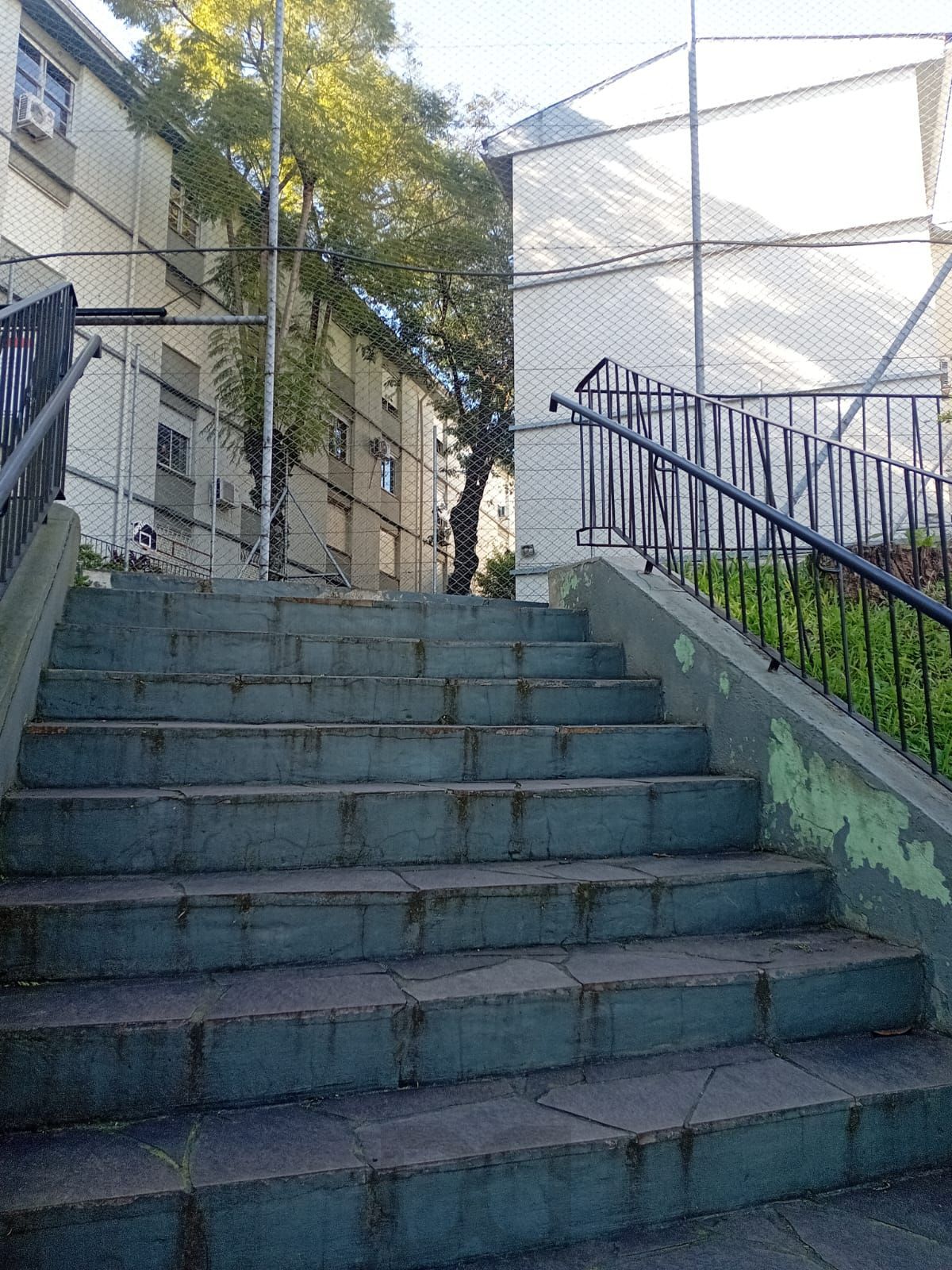 — foto 5