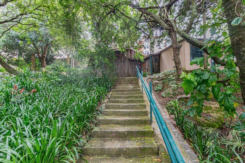 Linda casa de 04 dormitórios com vista livre no Bairro Teresópolis — foto 81