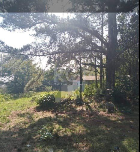 terreno - 180 m² - Lomba do Pinheiro — foto 2