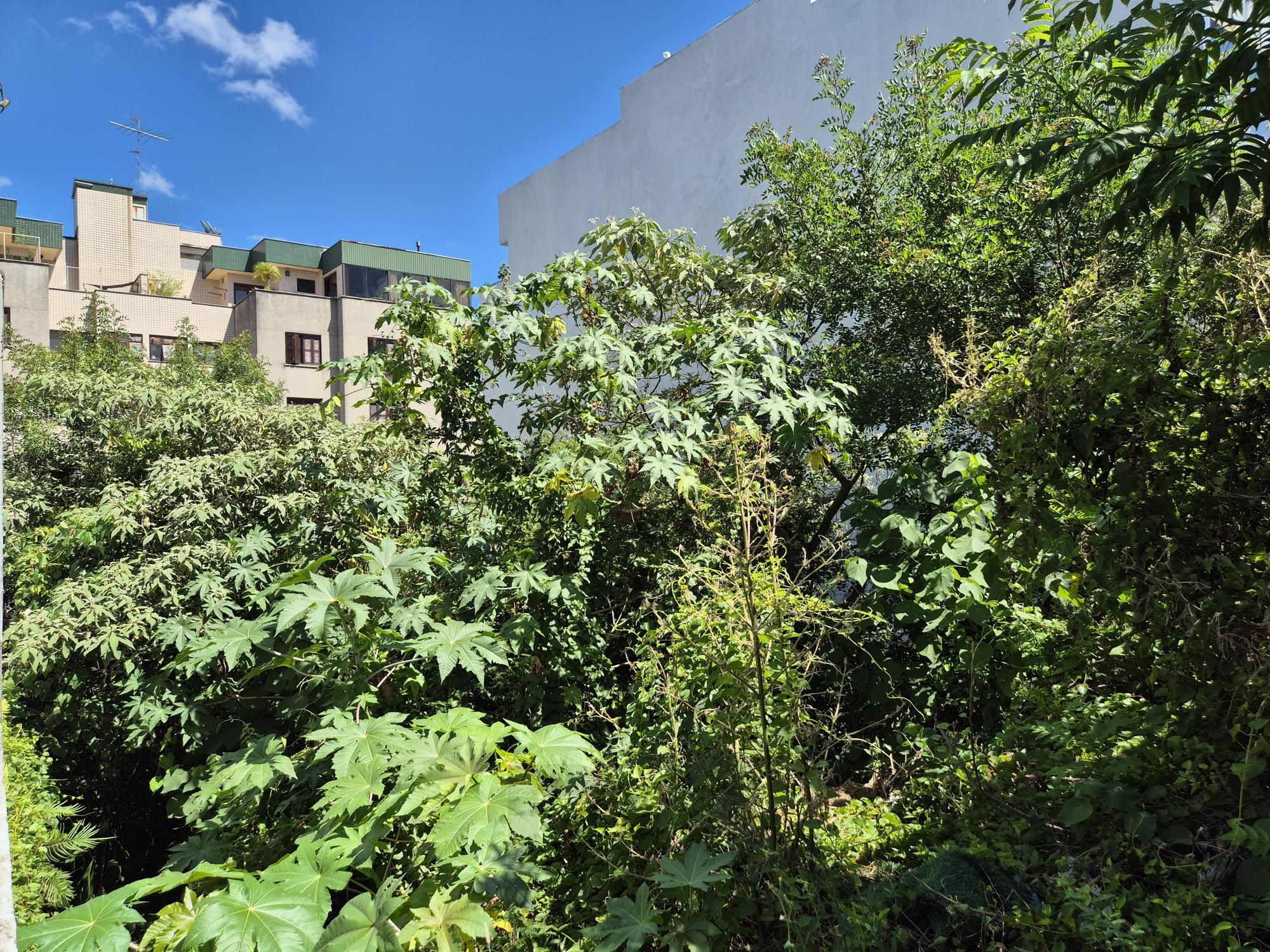 Terreno com 360m² — foto 5