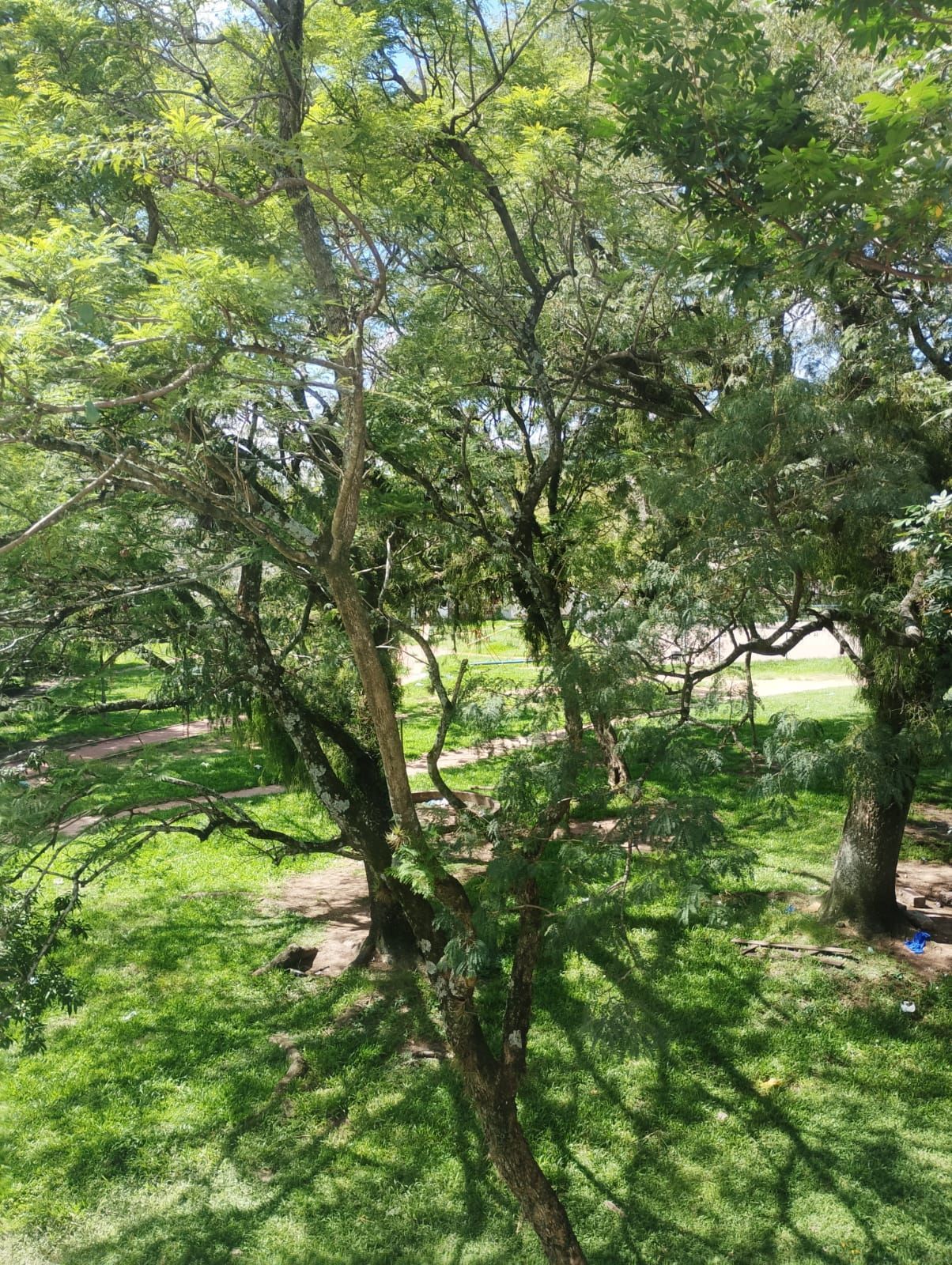 Apartamento de 01 dormitório com vaga- Cavalhada — foto 11