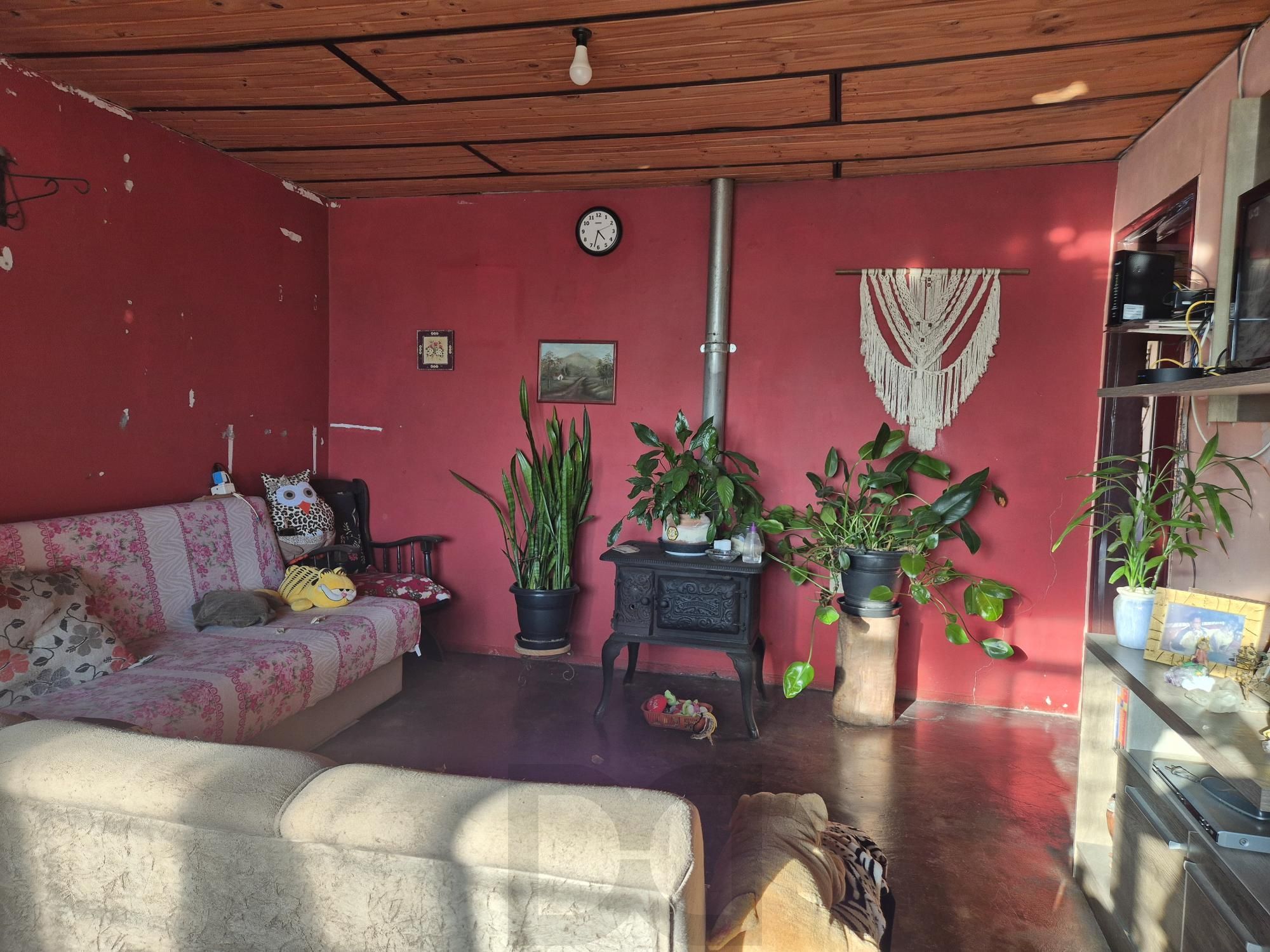 Casa com amplo jardim — foto 5