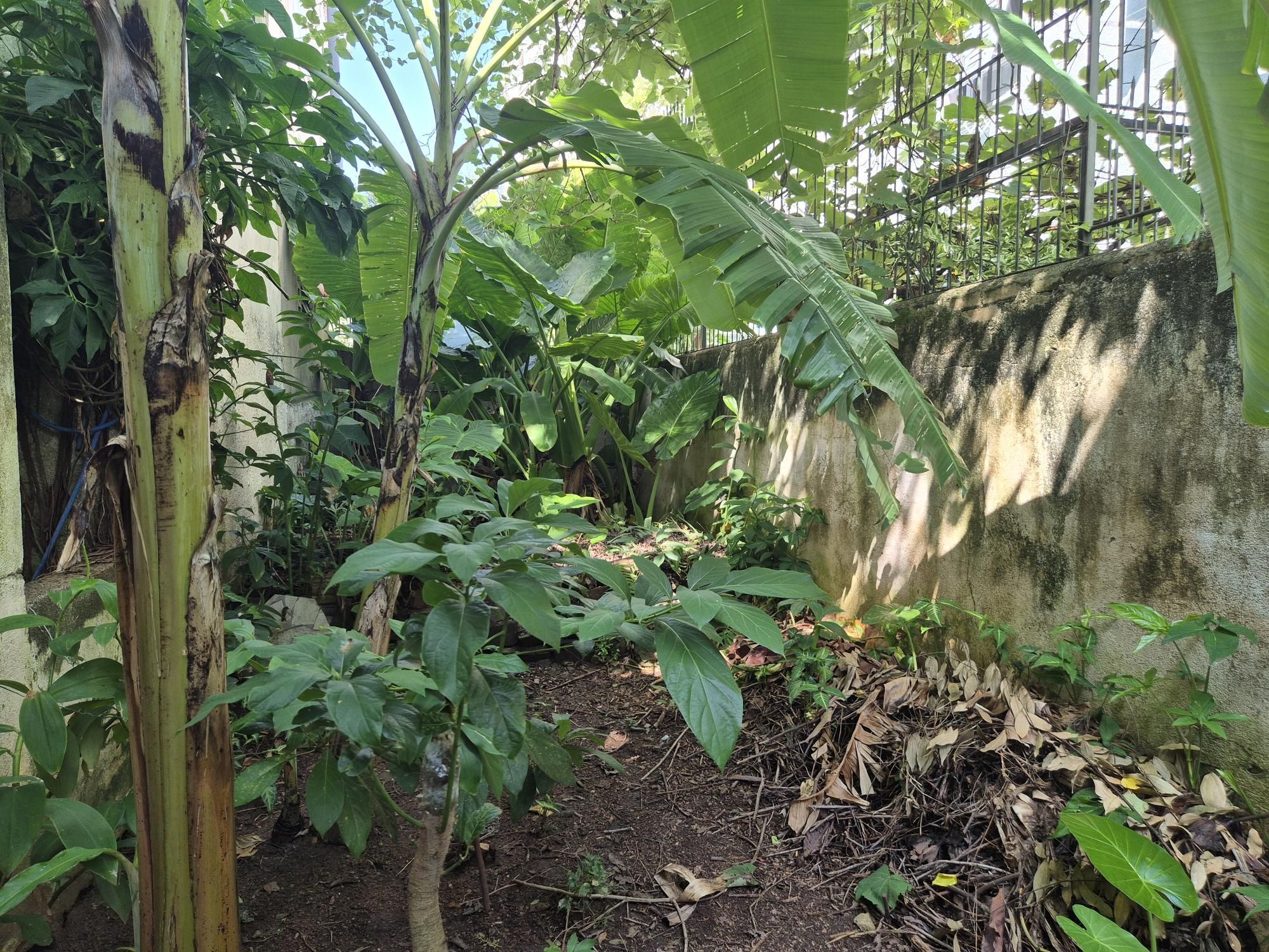 Terreno para investidores — foto 3