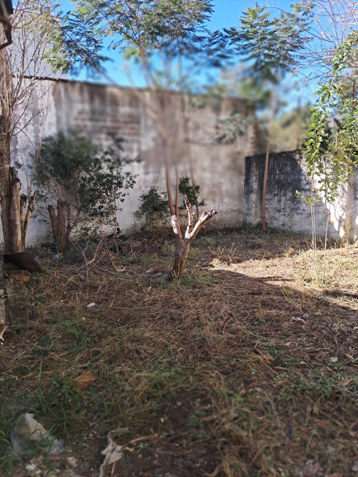 Terreno 11x29 — foto 4