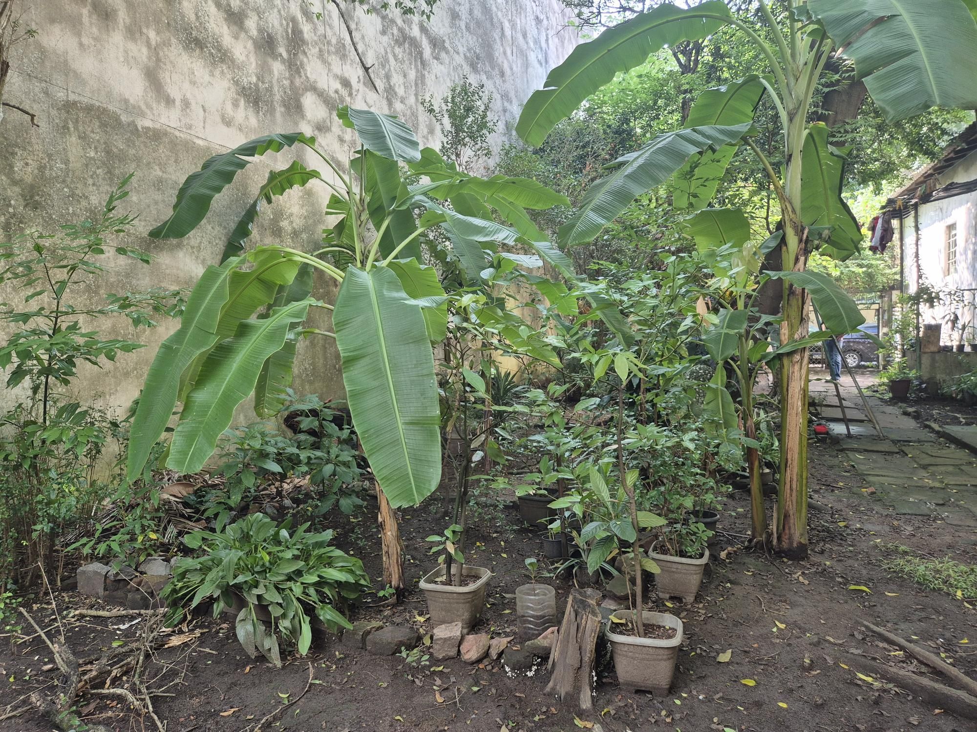 Terreno para investidores — foto 4
