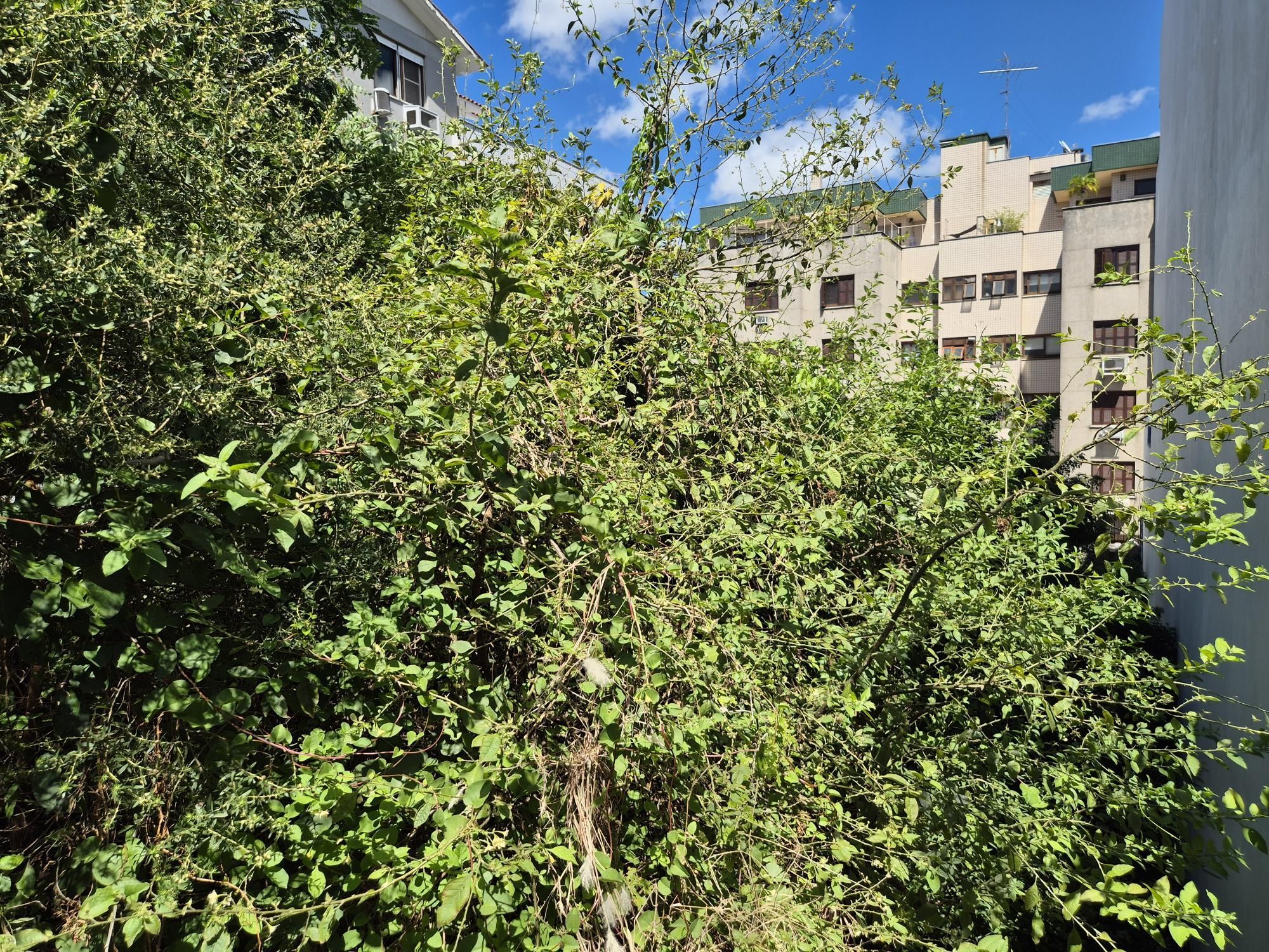 Terreno com 360m² — foto 3