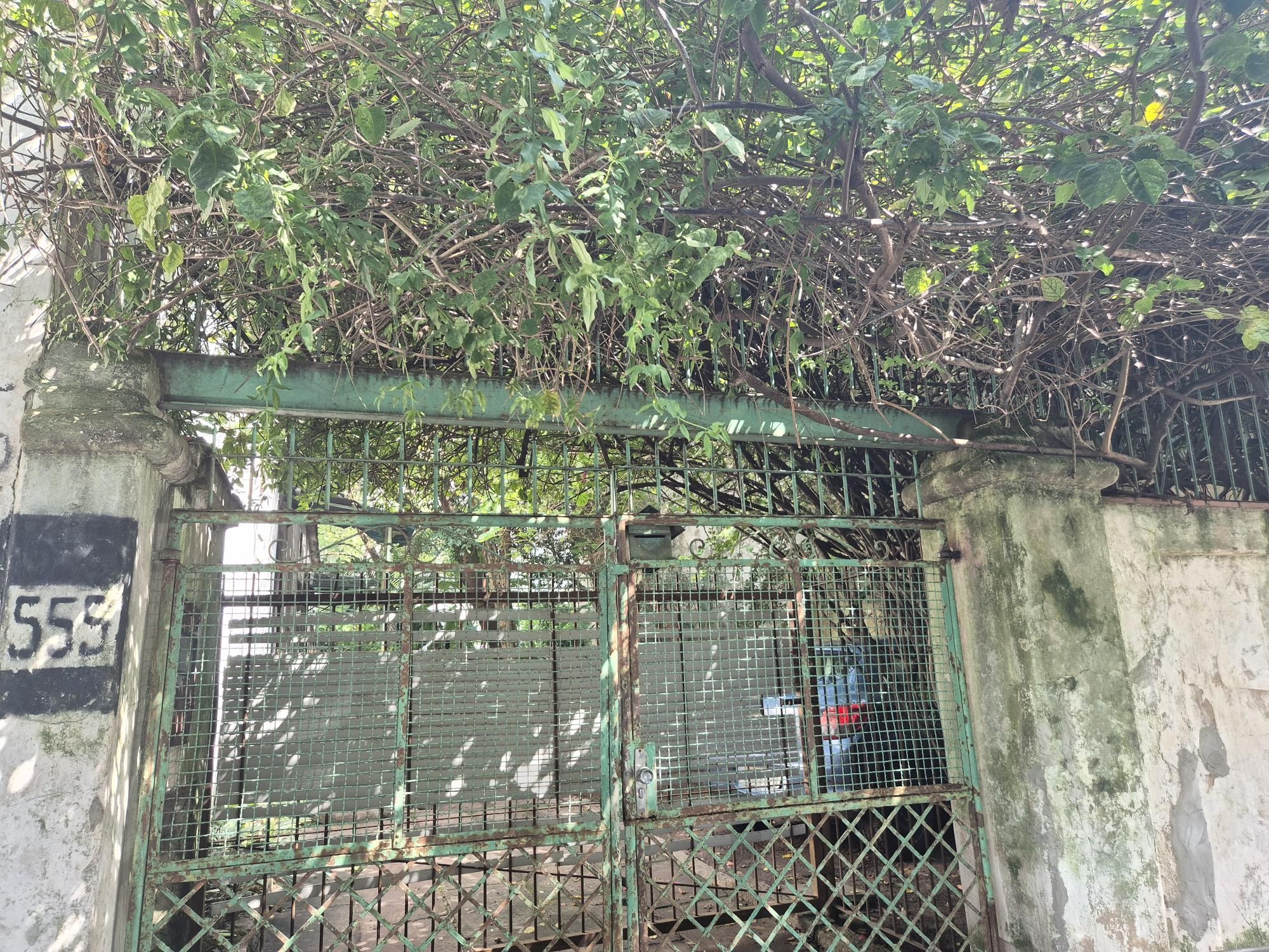 Terreno para investidores — foto 1