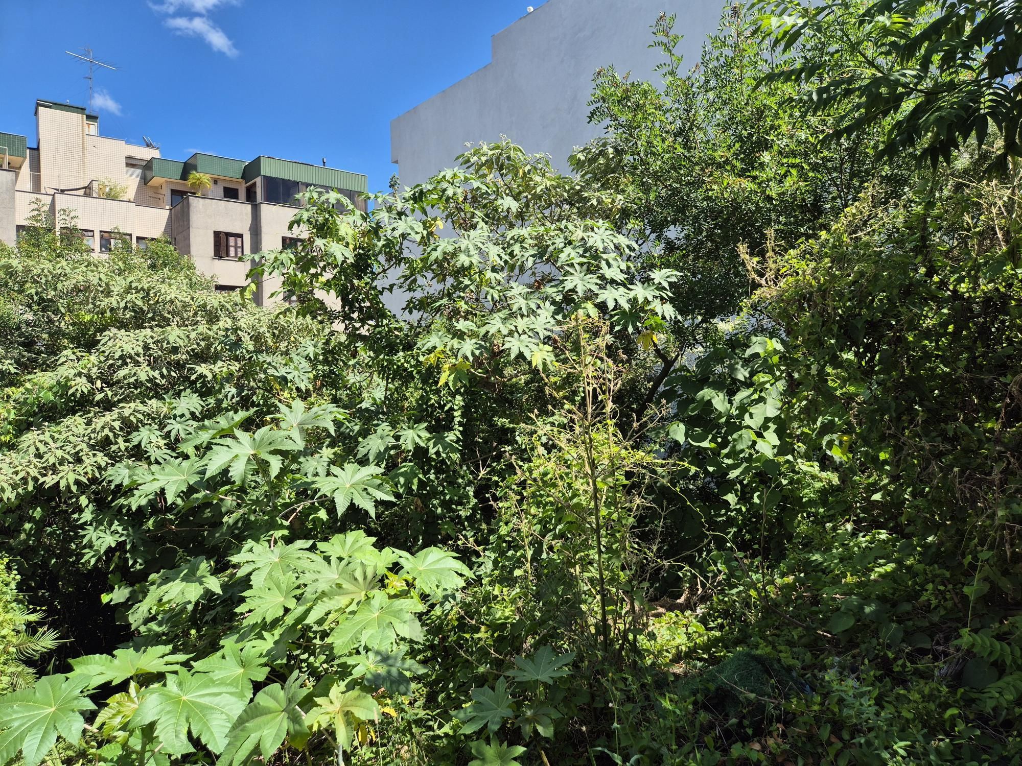 Terreno com 360m² — foto 4