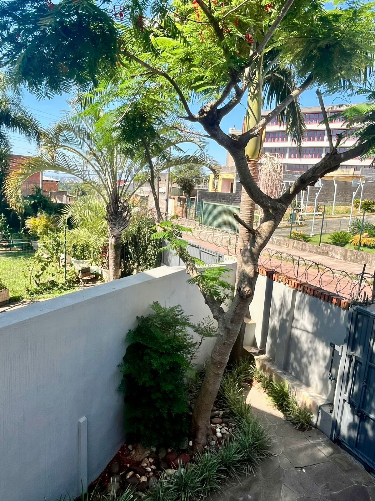 2 Casas independentes em terreno de 480m. — foto 66