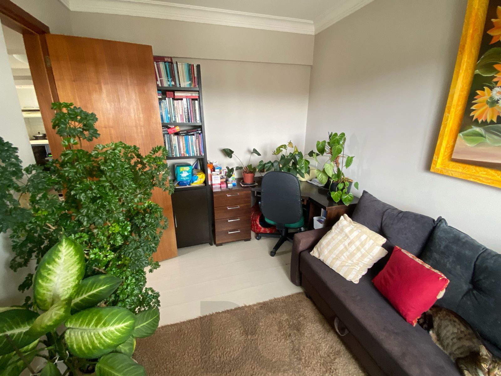 Apartamento 2 dormitórios box, 63m2, cidade baixa — foto 12