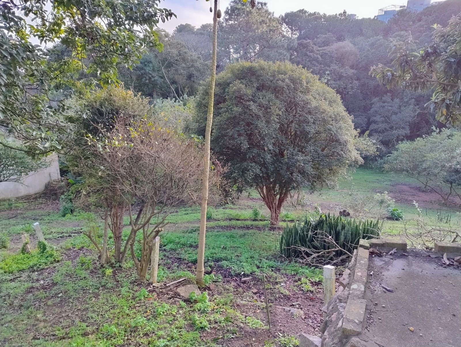 Terreno 6798m² — foto 15