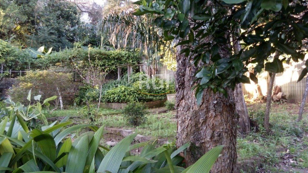 Terreno para Venda - 0m², 0 dormitórios, Medianeira — foto 5