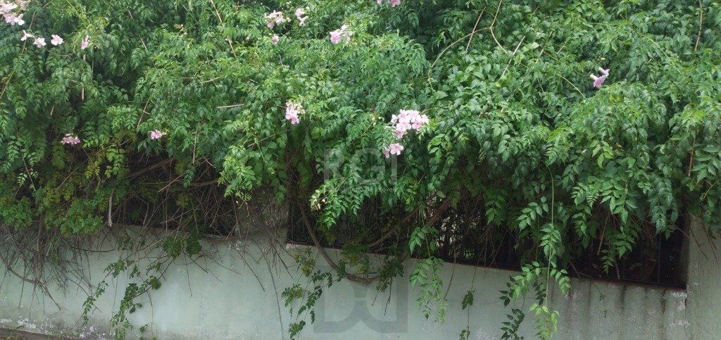 Terreno para Venda - 1069m², 0 dormitórios, Cavalhada — foto 2