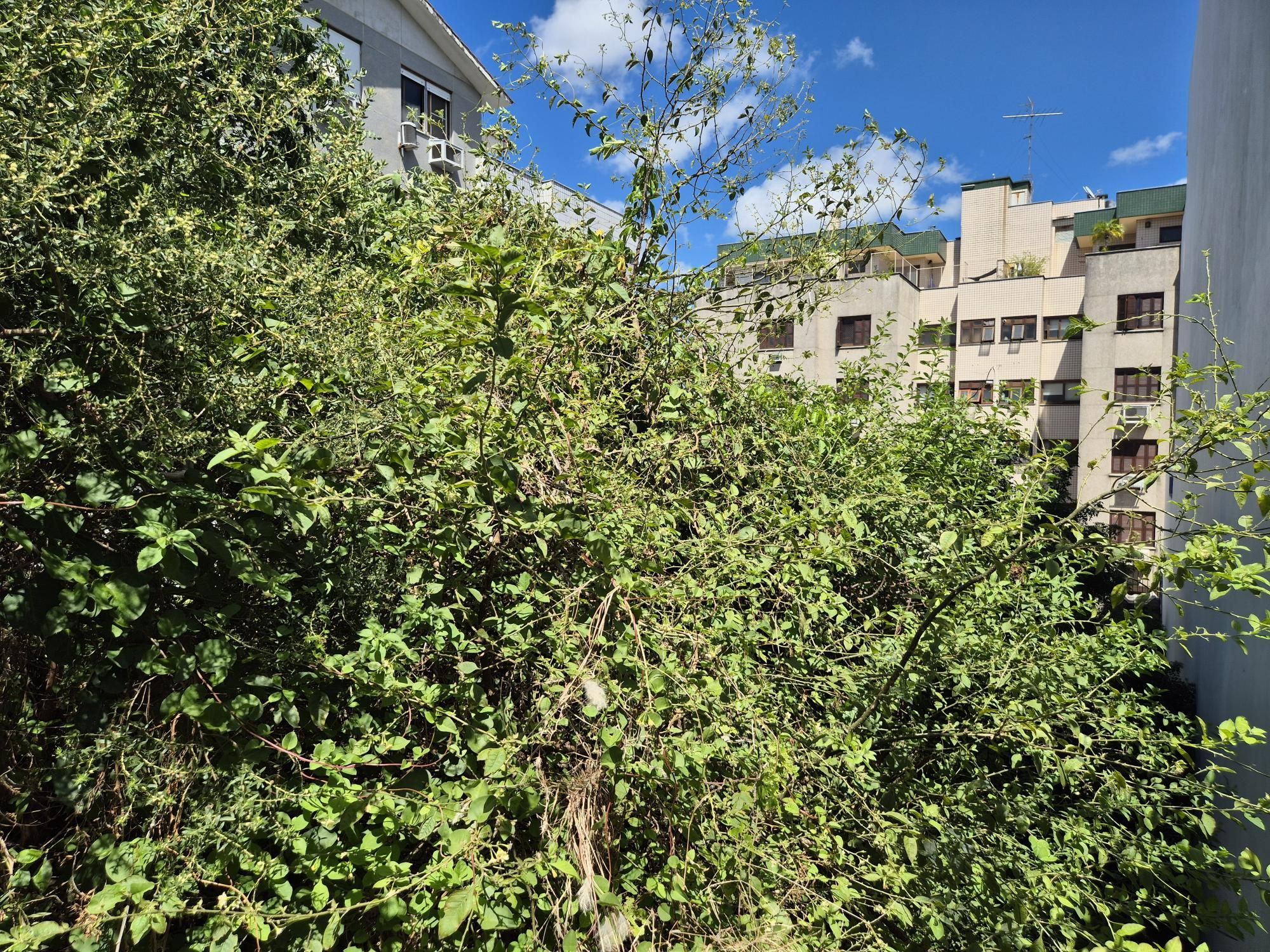 Terreno com 360m² — foto 2