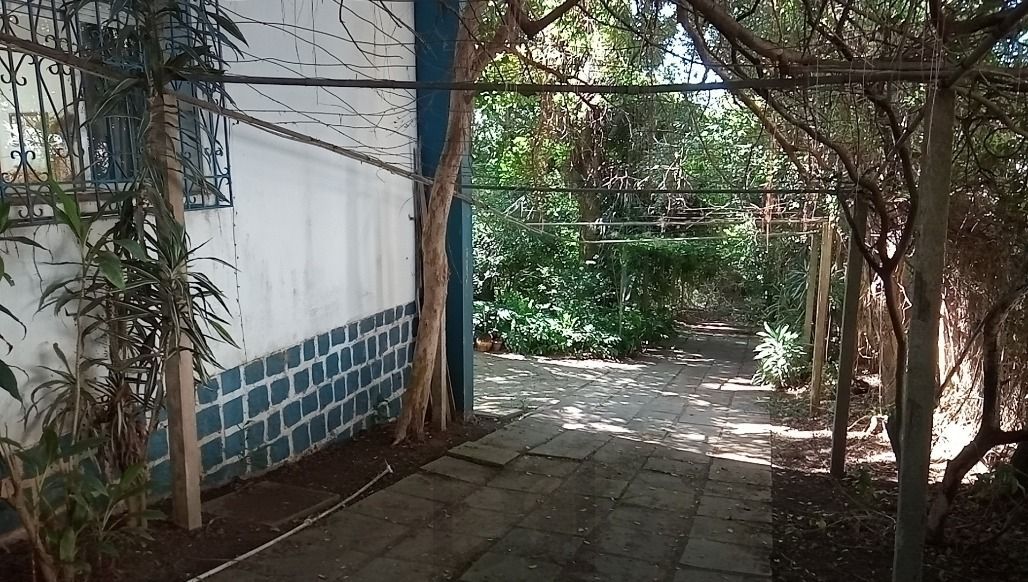  — foto 29