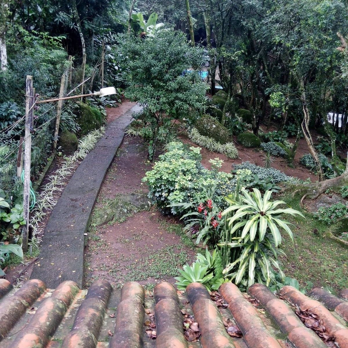 — foto 5