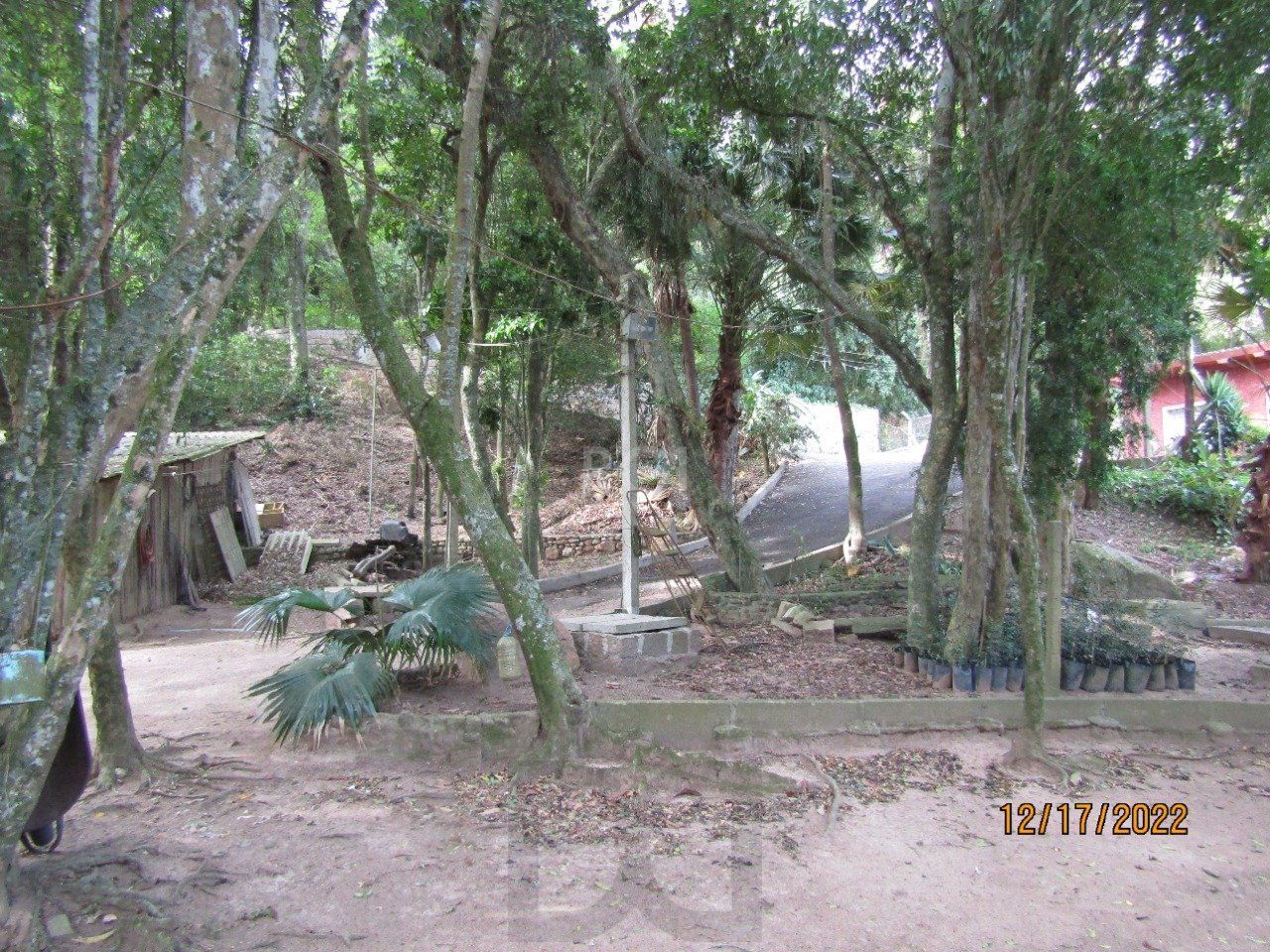  — foto 11