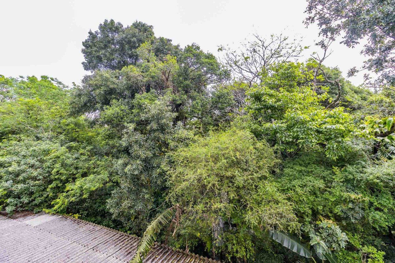Vende Apartamento de 3 dormitórios no Bairro Jardim Botânico - Porto Alegre! — foto 21