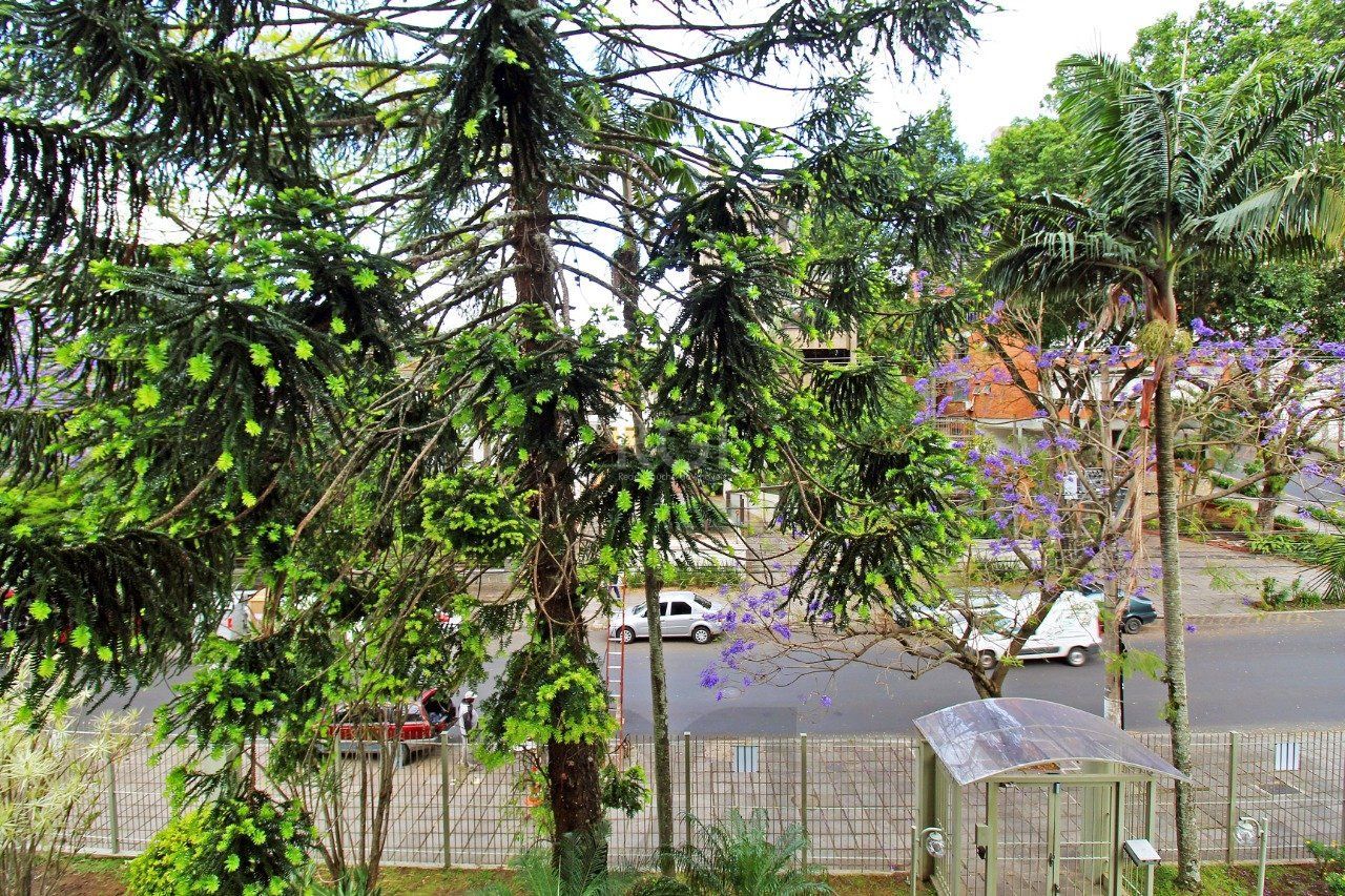 Apartamento para Venda - 245.75m², 3 dormitórios, sendo 1 suites, 2 vagas - Moinhos de Vento — foto 8