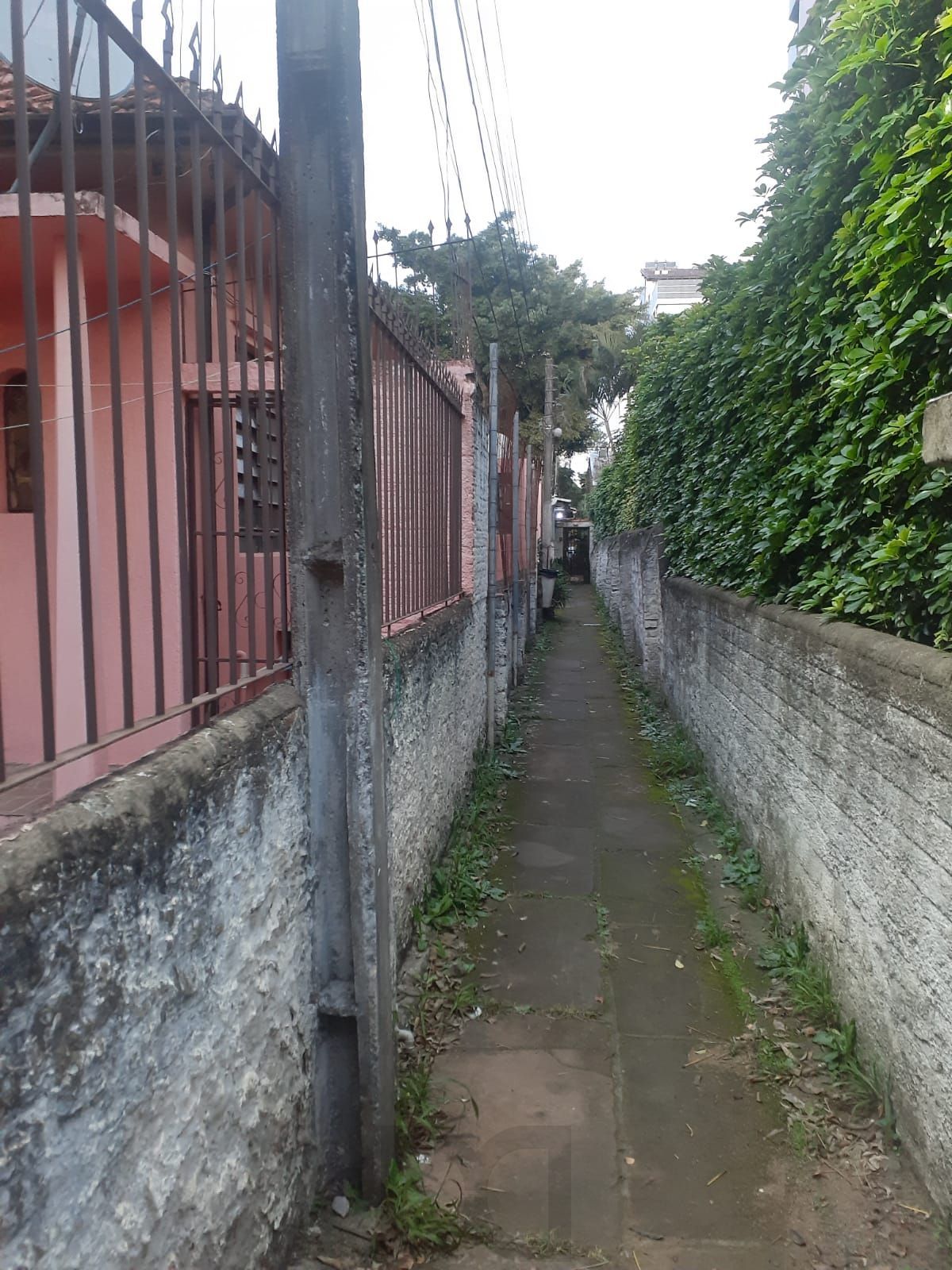 — foto 3