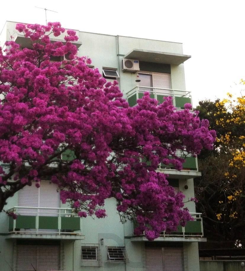 Apartamento de 1 quarto e 1 vaga de garagem escriturada no bairro Camaquã POA — foto 4