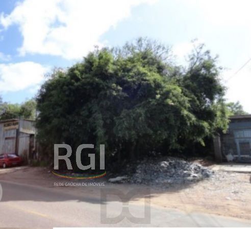 Terreno para Venda - 0m², 0 dormitórios, Vila Nova — foto 3