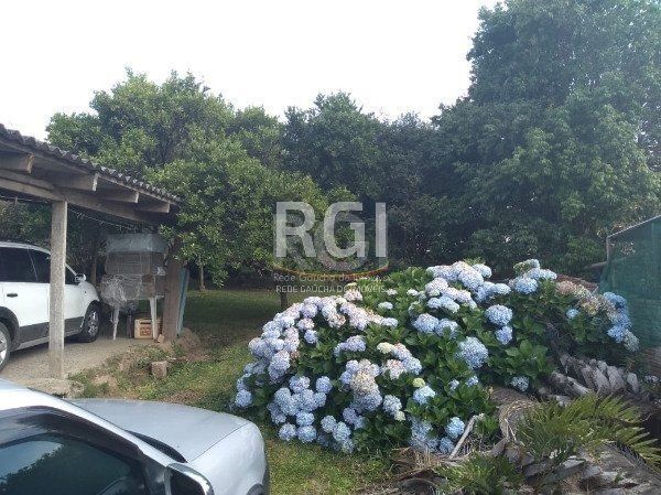 Terreno Amplo com 625m² - Venda- Mário Quintana - Porto Alegre — foto 5