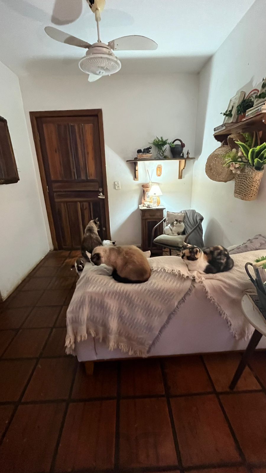 Apartamento 2 Dormitórios com 61,50m² em Condomínio com Lazer Completo e Rua Tranquila — foto 3