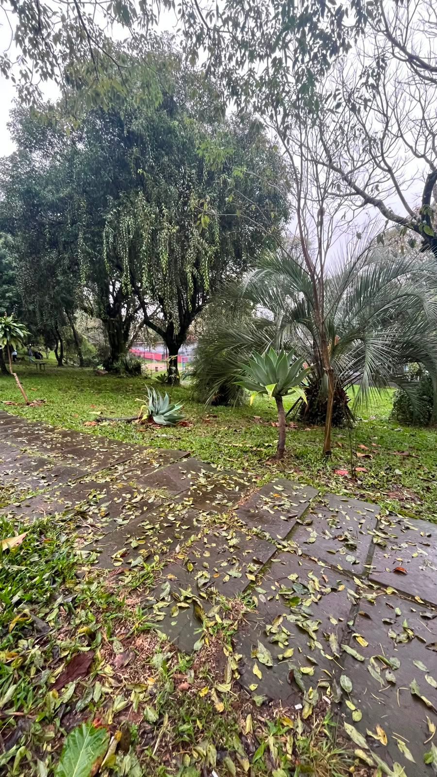 Apartamento à Venda 1 dormitório na Vila Ipiranga - SALAR — foto 5