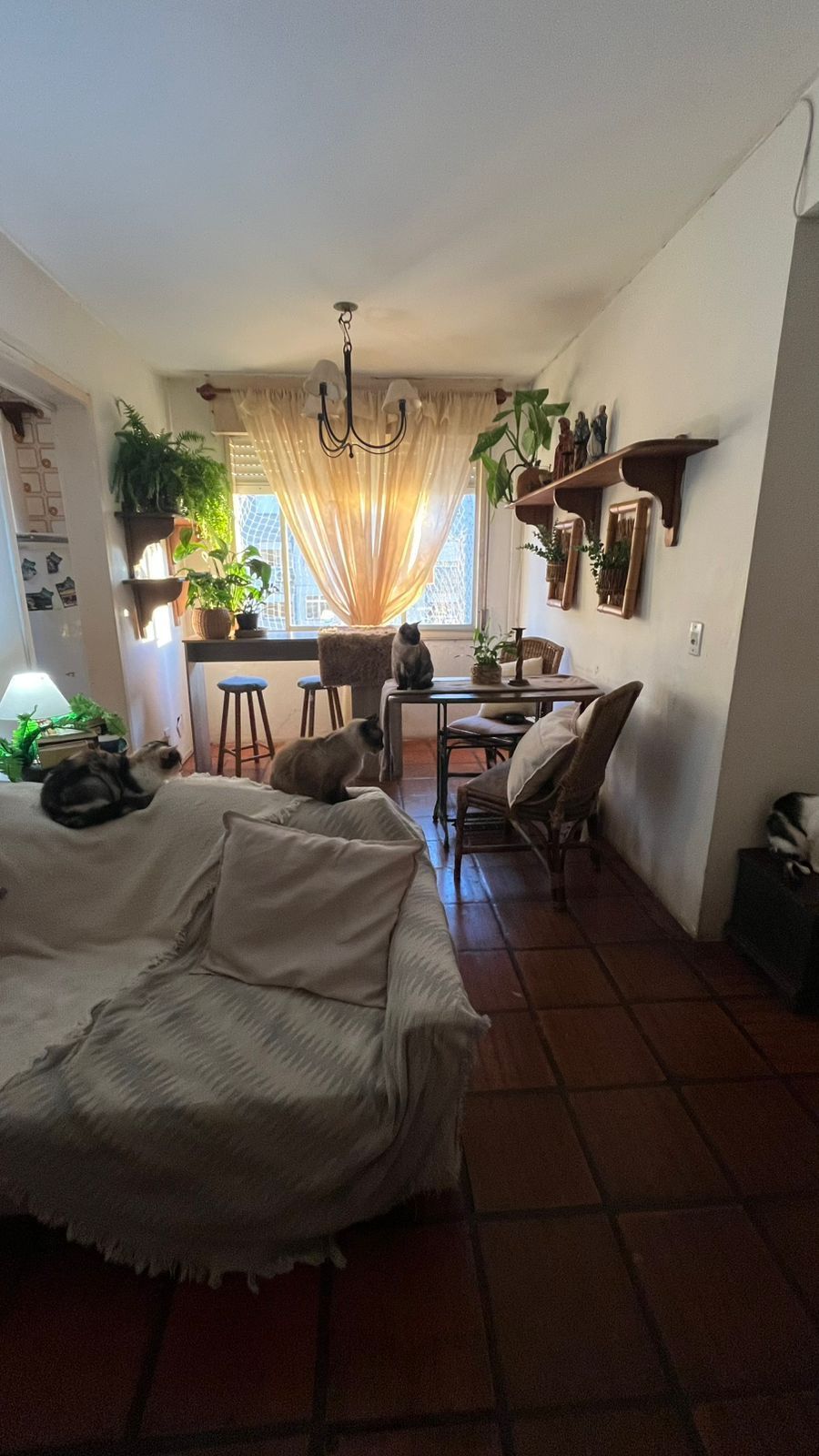Apartamento 2 Dormitórios com 61,50m² em Condomínio com Lazer Completo e Rua Tranquila — foto 4