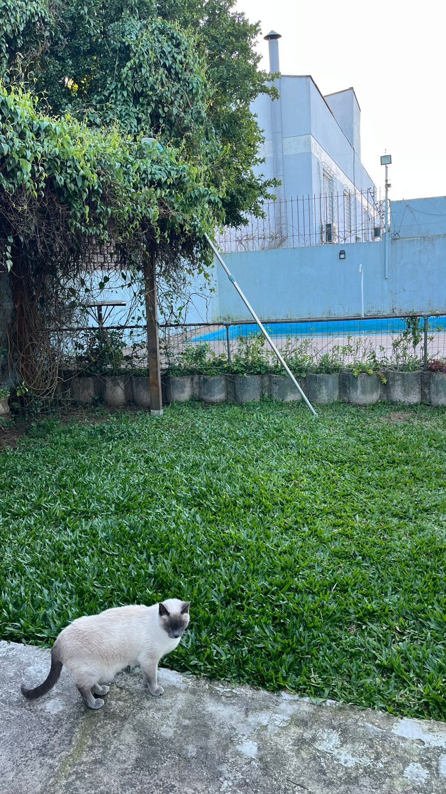 Casa de 03 dormitórios com suíte, Bairro Camaquã, Porto Alegre/RS — foto 39