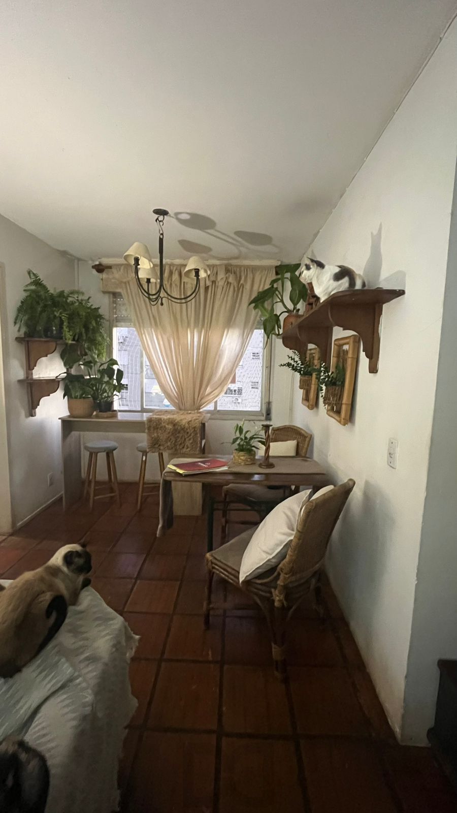 Apartamento 2 Dormitórios com 61,50m² em Condomínio com Lazer Completo e Rua Tranquila — foto 5