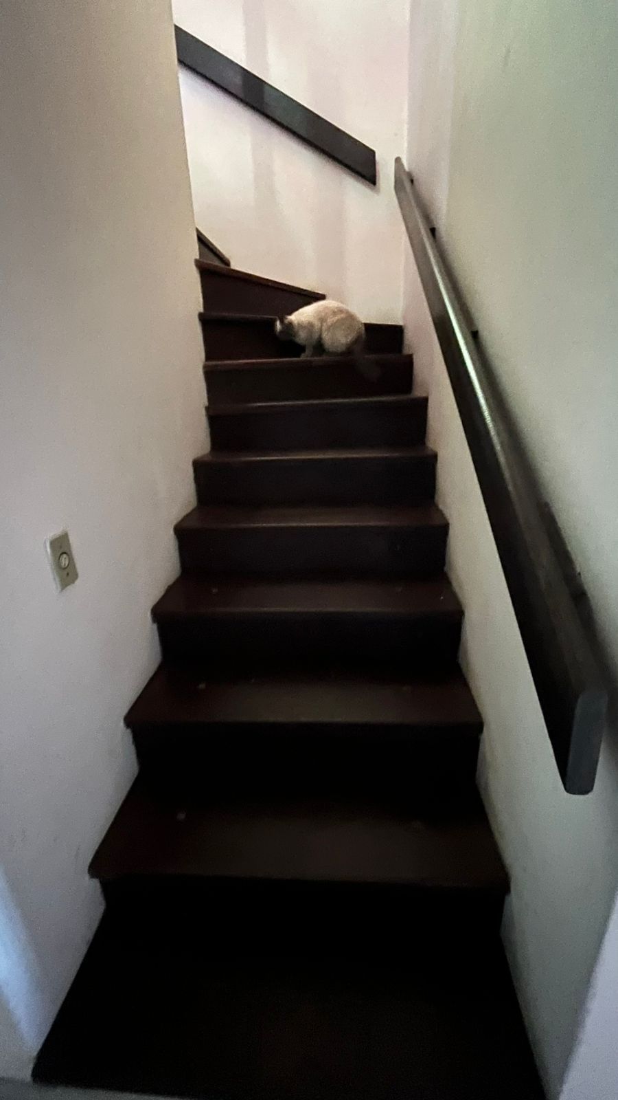 Casa de 03 dormitórios com suíte, Bairro Camaquã, Porto Alegre/RS — foto 22