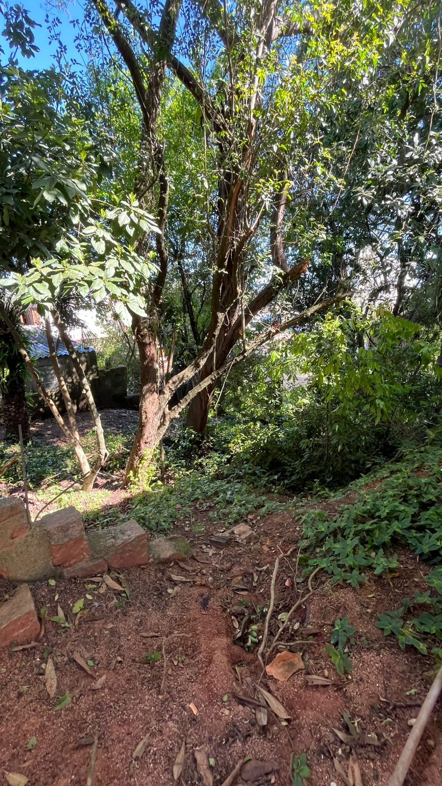 Excelente oportunidade para empreender, Bairro Tristeza, Zona Sul de Porto Alegre/RS — foto 2
