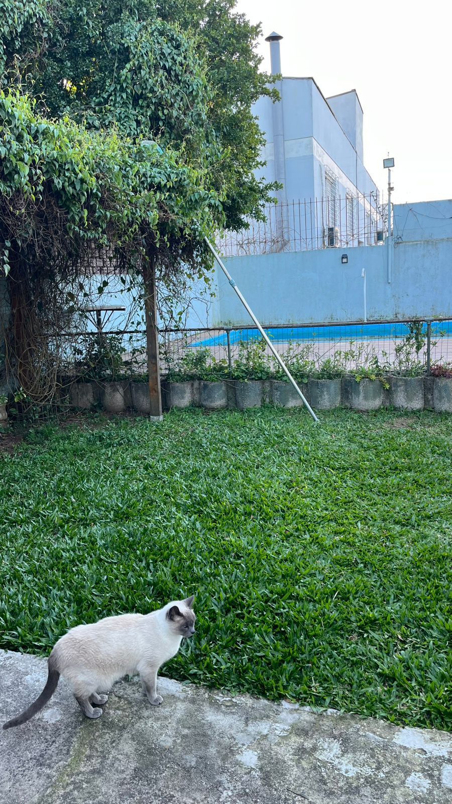 Casa de 03 dormitórios com suíte, Bairro Camaquã, Porto Alegre/RS — foto 40