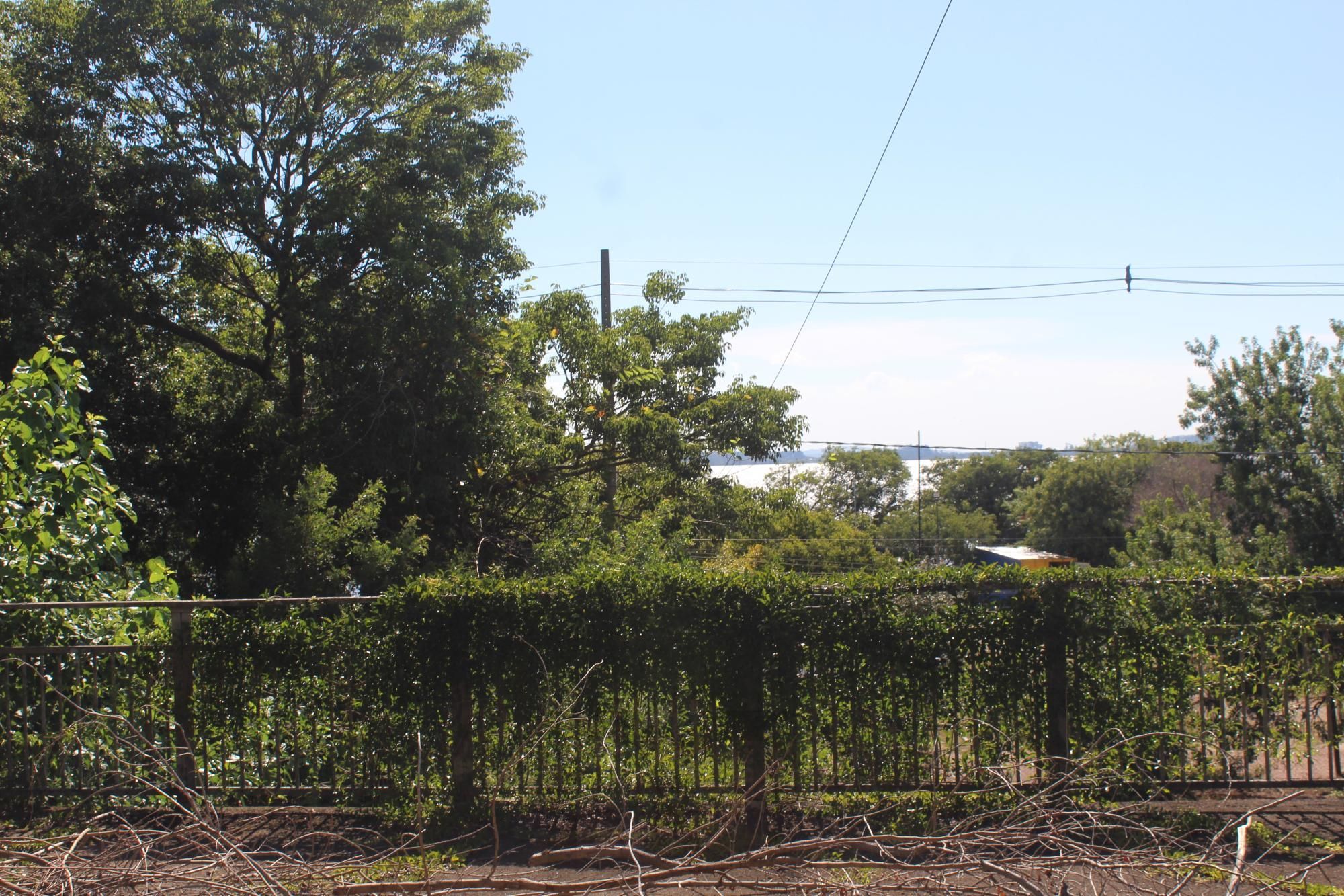 Imponente casa na Vila Assunção — foto 10