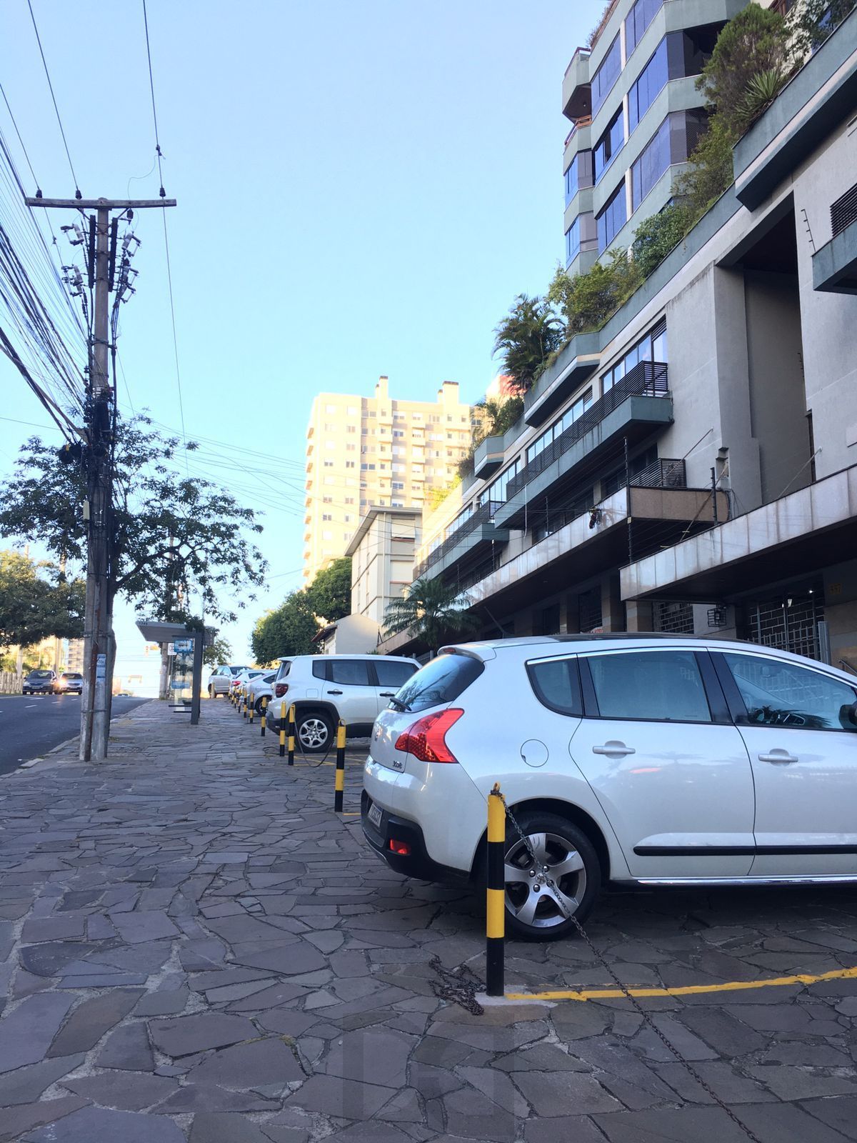 🛍️ Apartamento com 2 Dormitórios – No Coração da Zona Norte! — foto 12