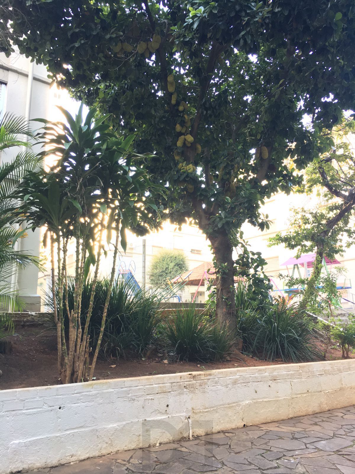 🛍️ Apartamento com 2 Dormitórios – No Coração da Zona Norte! — foto 18