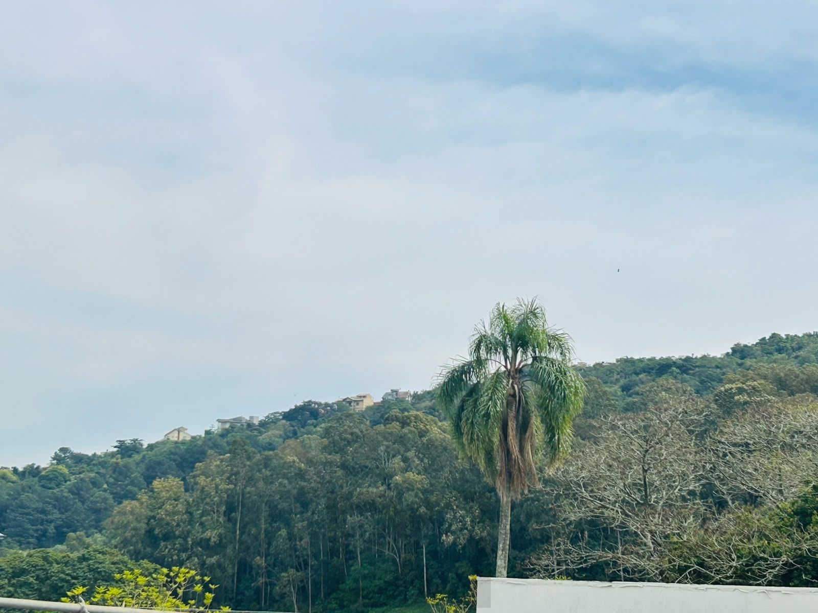Casa 3 dormitórios com Suíte, Piscina e Salão de Festas — foto 34