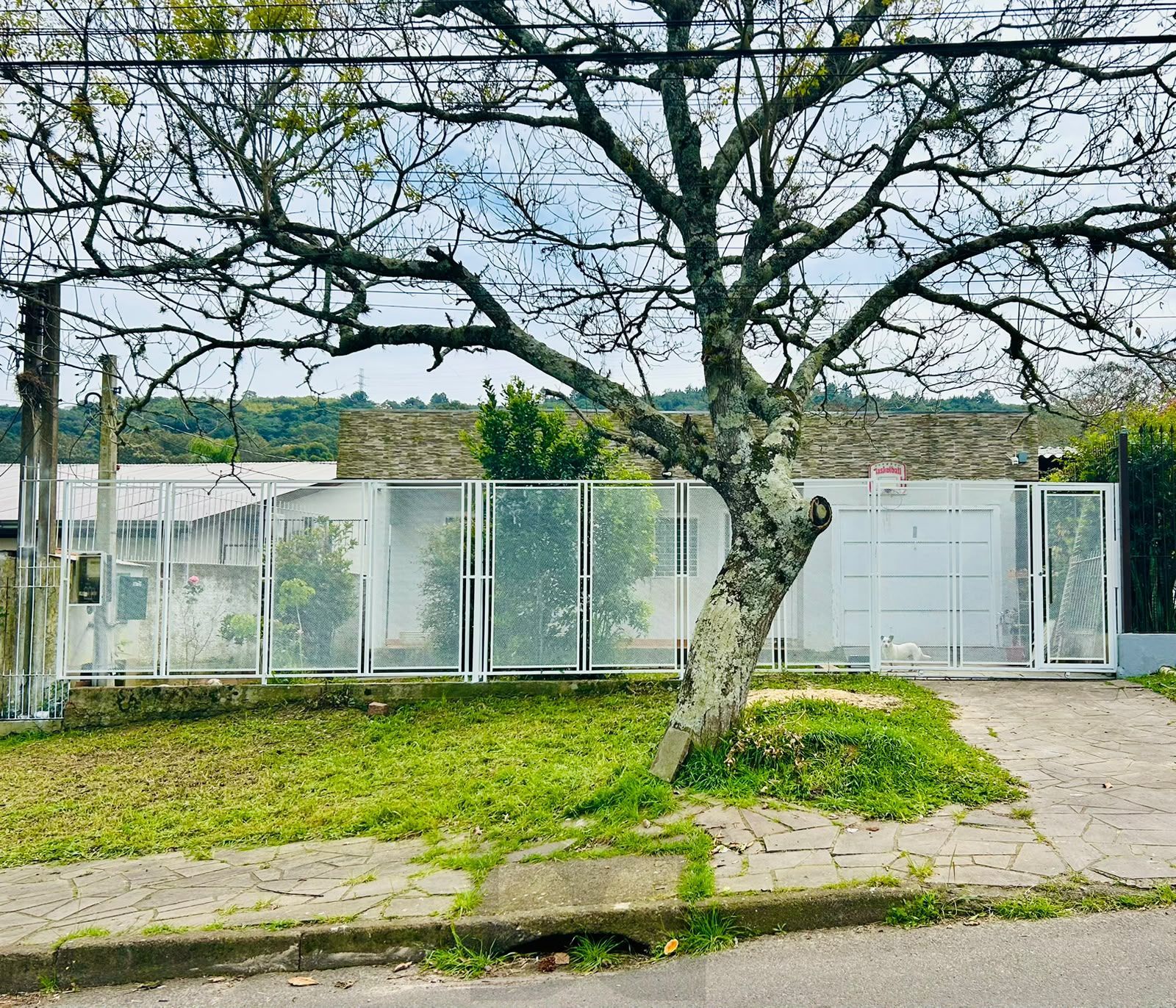 Casa 3 dormitórios com Suíte, Piscina e Salão de Festas — foto 1