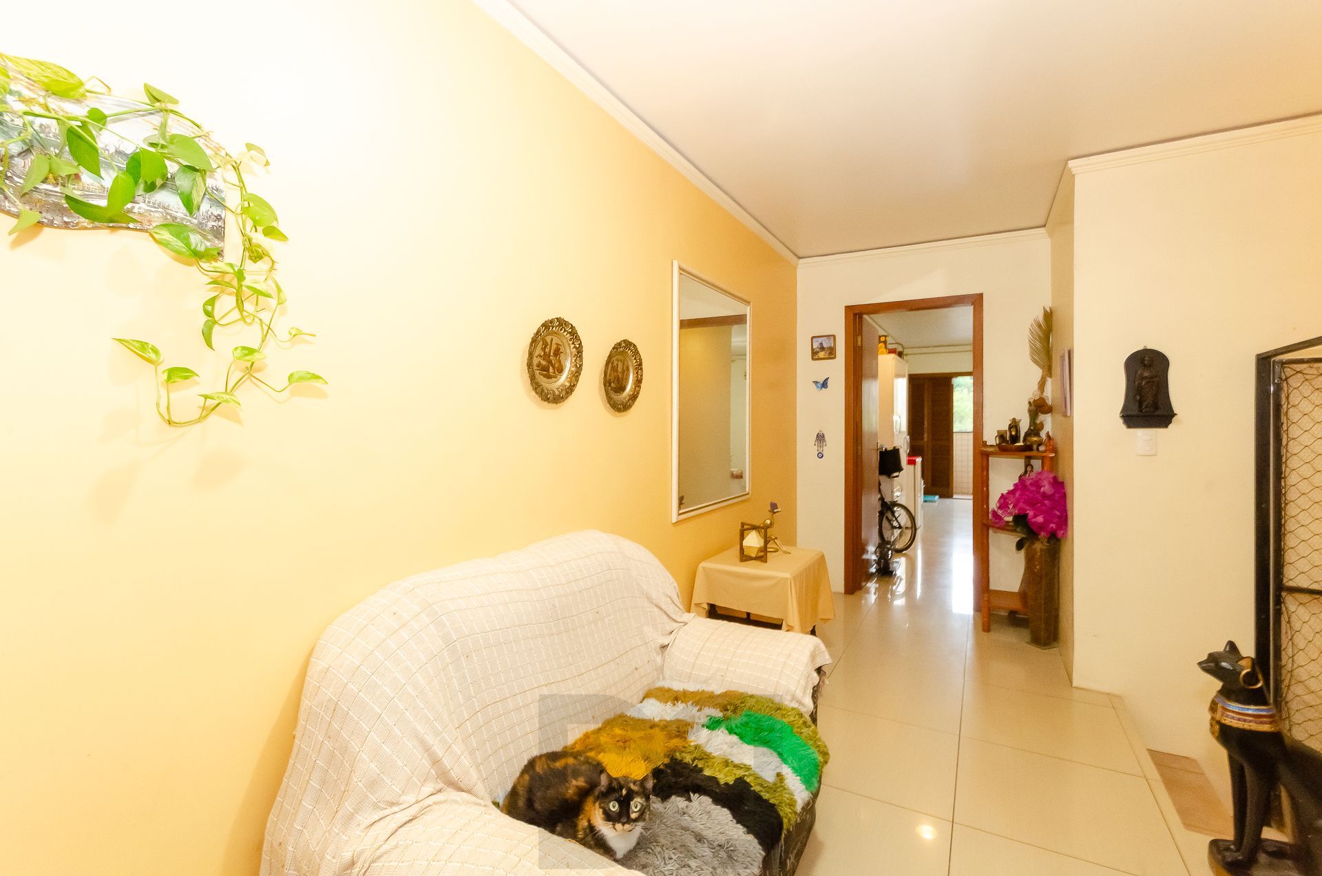 Prédio inteiro à venda 400m² no bairro Centro Histórico — foto 15