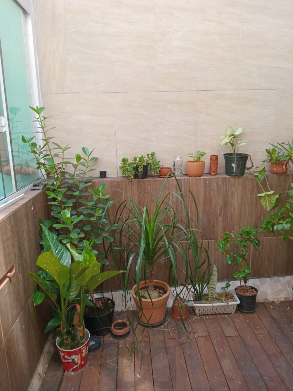 Edifício Lavegas - Apartamento 2 dormitórios Petrópolis — foto 11
